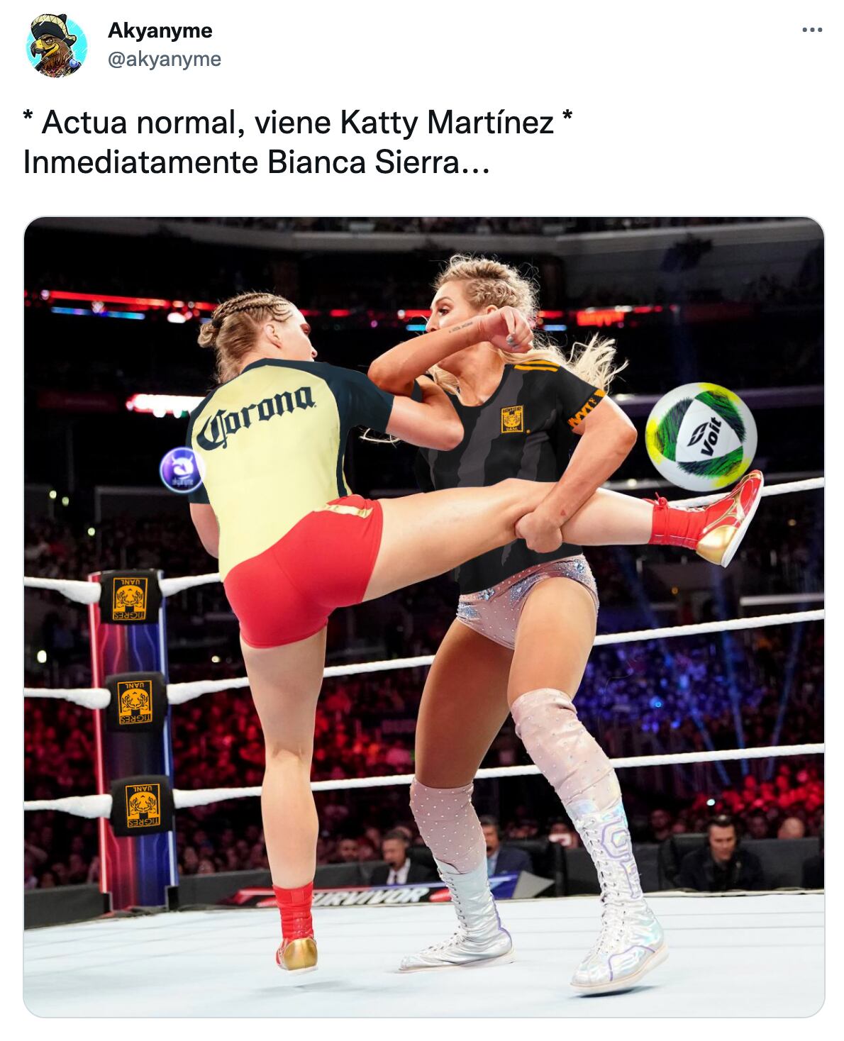 Meme sobre Katty Martínez