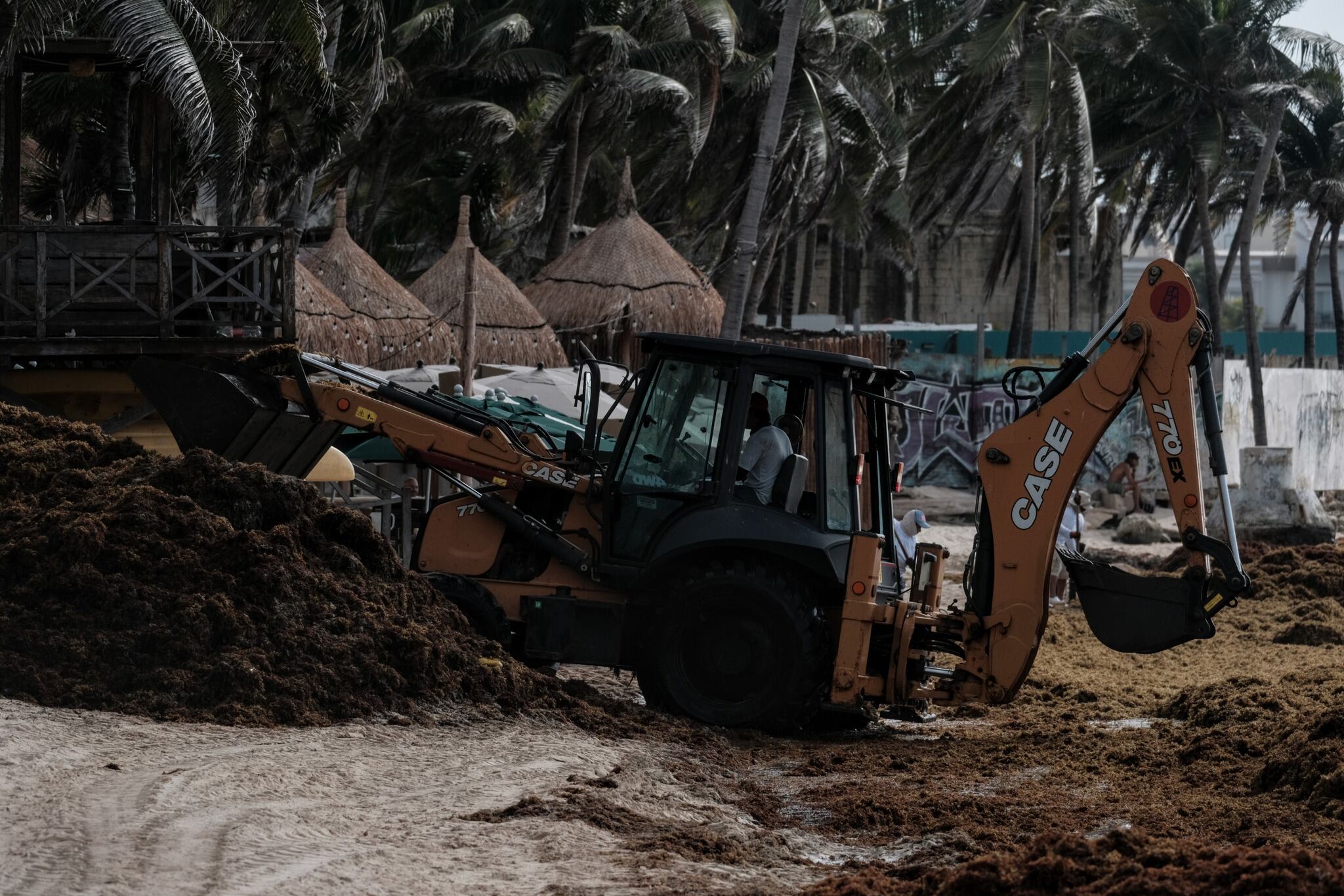 Playa del Carmen, vecina de Cancún, luce peor que nunca y seguirá así hasta agosto