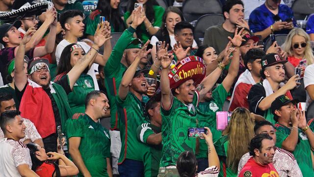 Fans Selección Mexicana