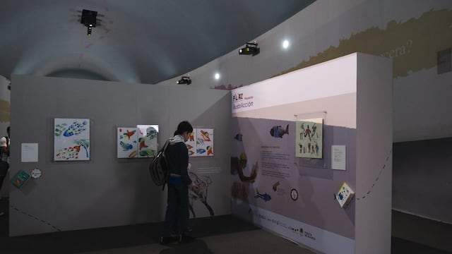 FILIAZ fortalece el ecosistema creativo con espacios para ilustradores emergentes y profesionales