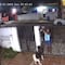 Ni los perros se salvan de la delincuencia; video capta cómo se roban a un husky de su propia casa