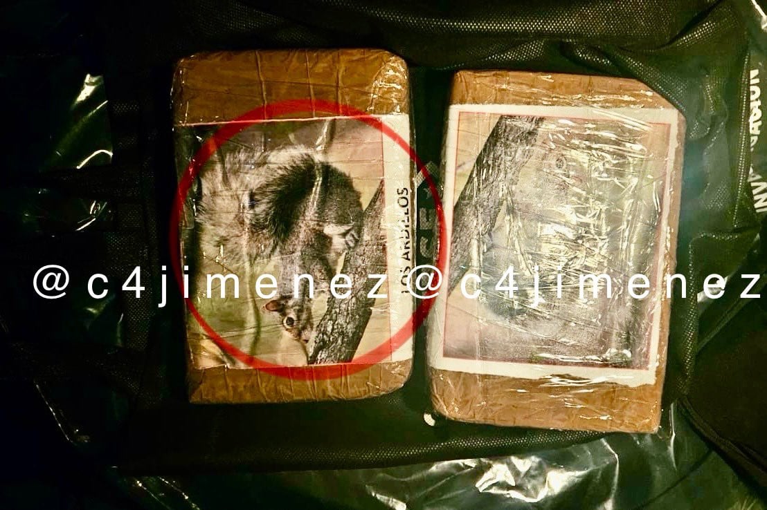 Paquete de posible droga rotulada con imagen de ardillas