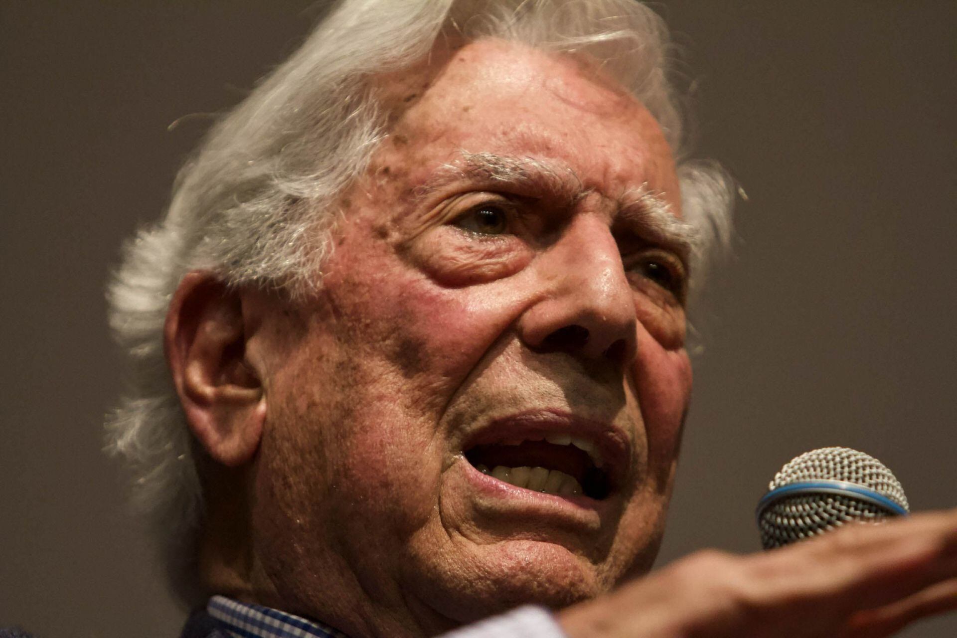 Mario Vargas Llosa