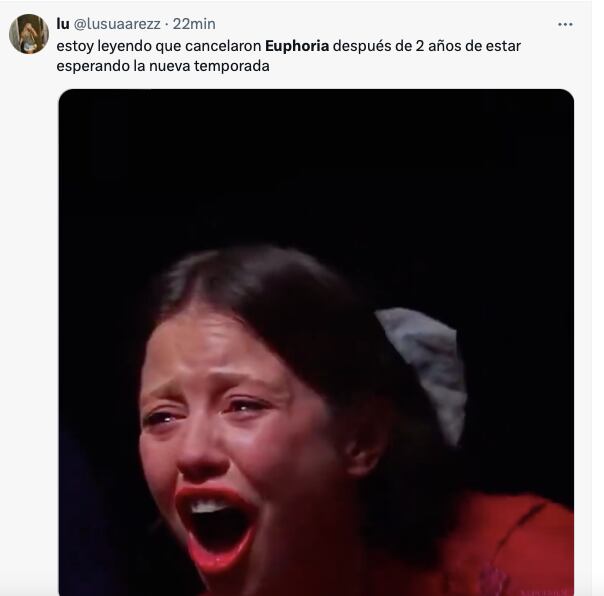 Memes le lloran a Euphoria porque está confirmada la cancelación de la tercera temporada