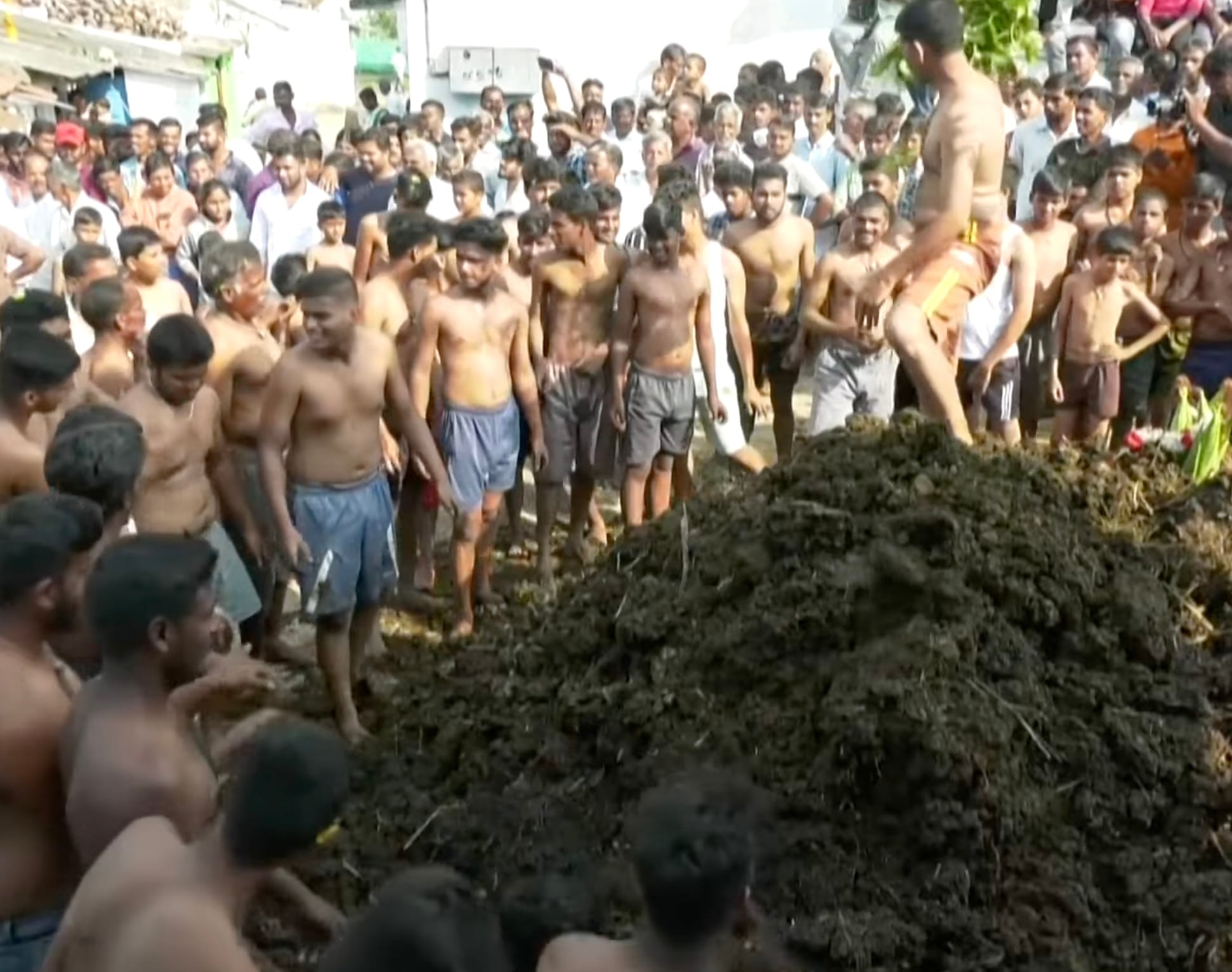 Gorehabba o Festival de la Caca de Vaca