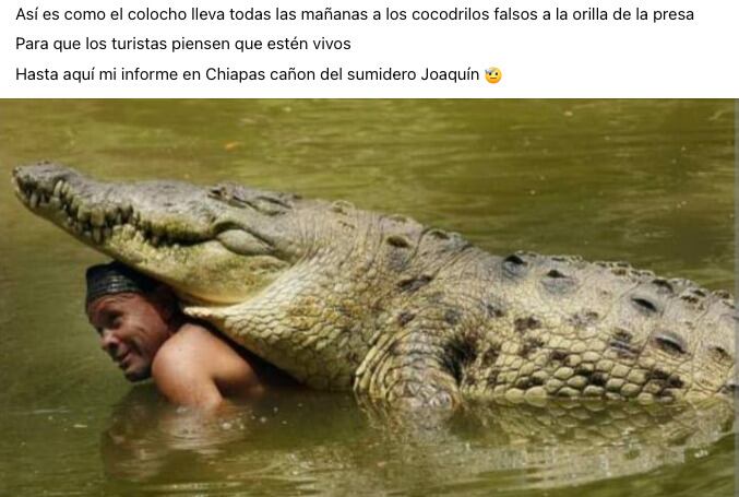 Memes cocodrilo