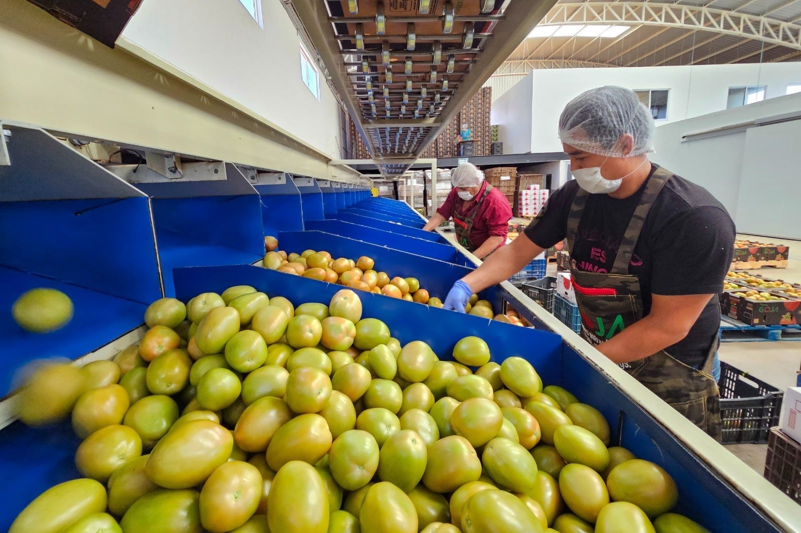 Aguascalientes suma más de 4 mil nuevos empleos formales en 2026.
