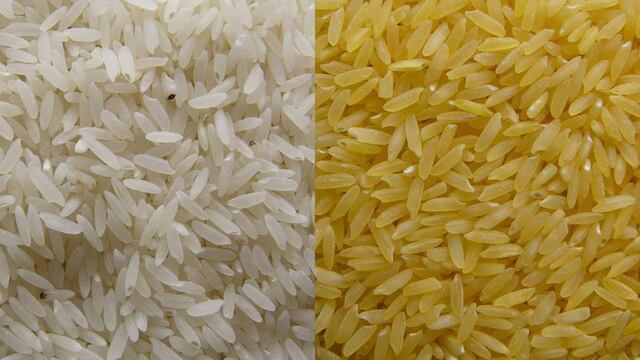 Arroz dorado modificado geénticamente