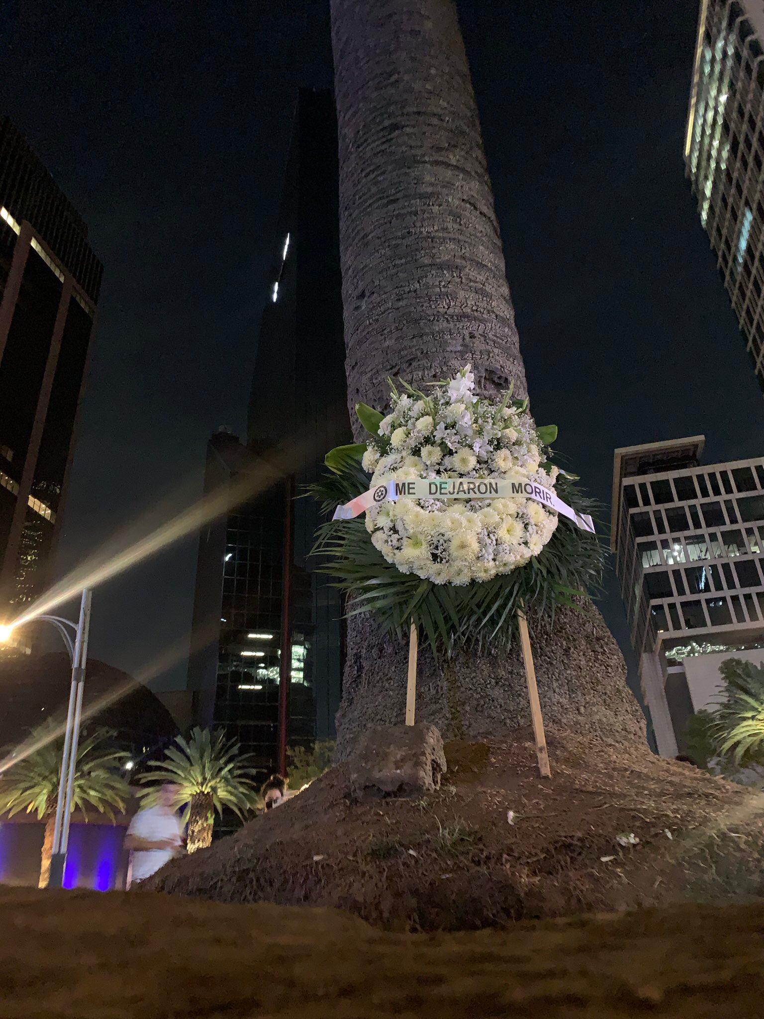 Palmera en la Glorieta de la Palma; una corona fúnebre dice "me dejaron morir".