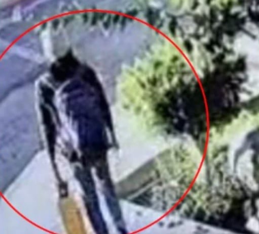 Stephanie Ledezma captada en cámara