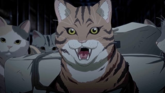 Nyaight of the Living Cat: De qué trata, cuándo se estrena y dónde ver el anime de gatos zombies