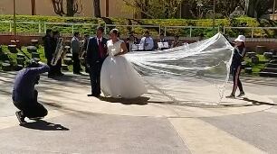 Perro se viraliza en TikTok por arruinar la foto de una boda
