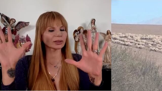 Mhoni Vidente habla del reciente comportamiento de animales