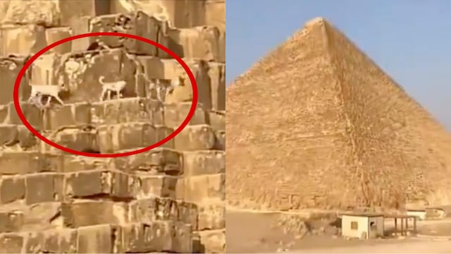Más perros se avistan subiendo la Gran Pirámide de Guiza