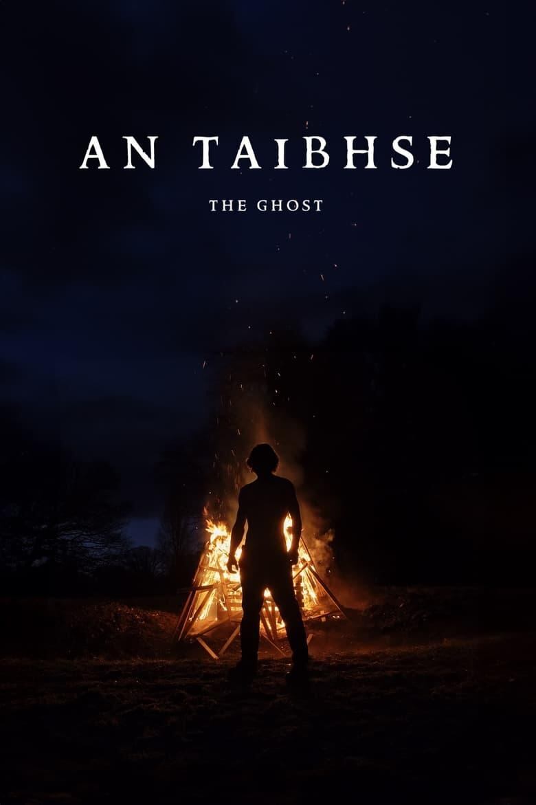 ¿Dónde ver An Taibhse en México? The Ghost es la primera película de terror en gaélico