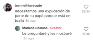 Año Nuevo en toalla, comentario