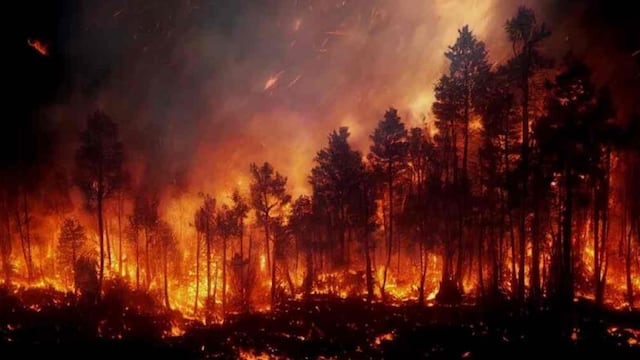 Por los incendios forestales en Chile suman 51 muertos