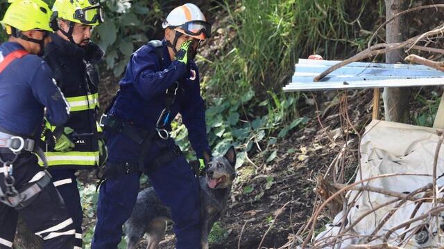 Lía Limón encabeza Simulacro Nacional