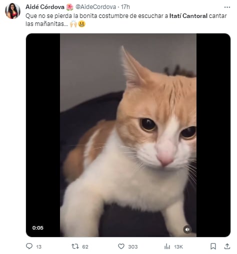 Memes de Itatí Cantoral cantando ‘La Guadalupana