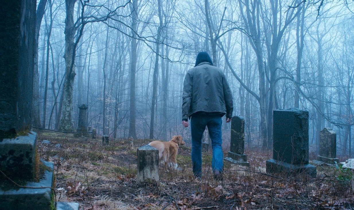 Good Boy (2025)