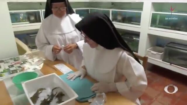 Monjas