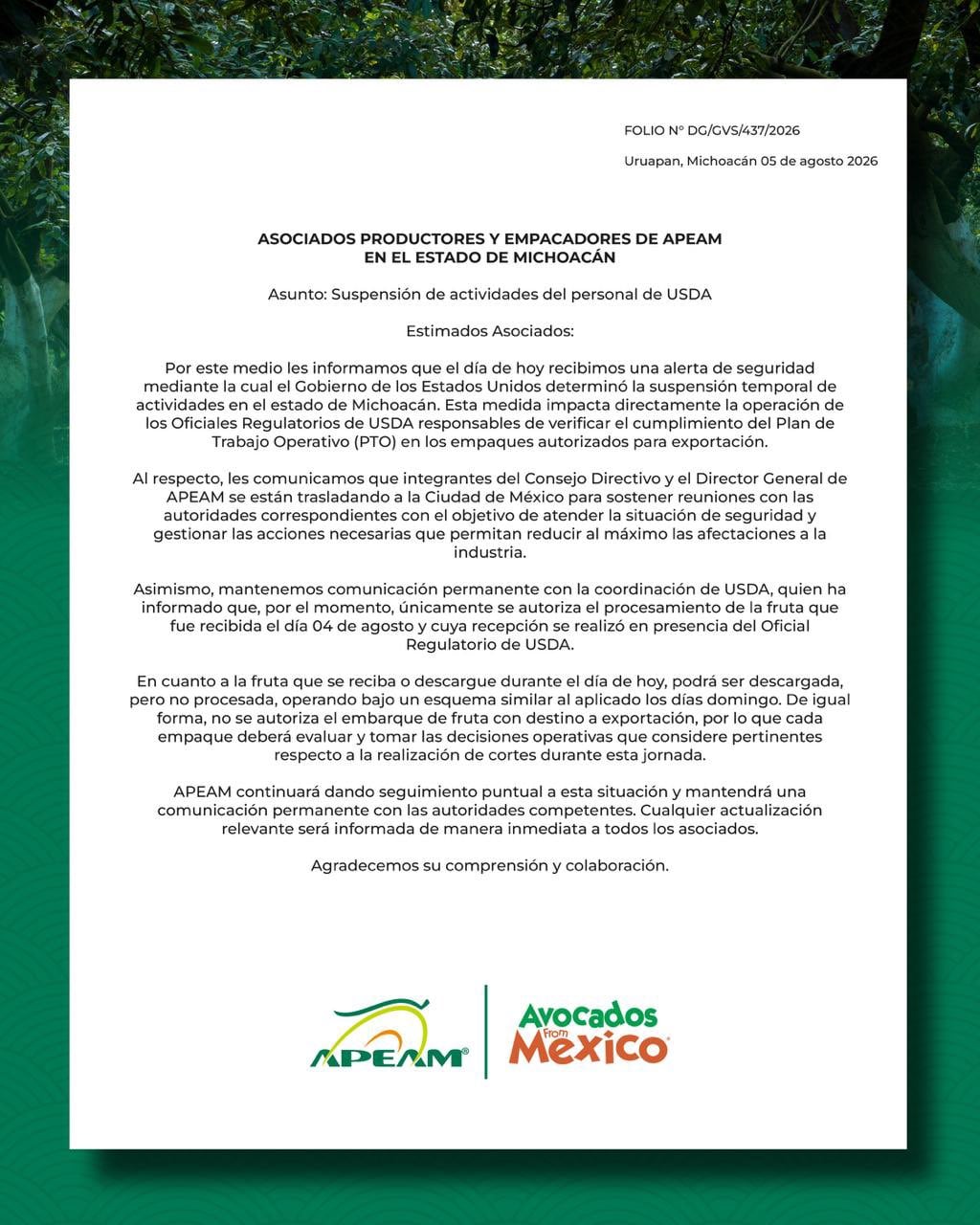Estados Unidos suspende exportación de aguacate de Michoacán