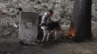 Husky salvó a su dueño de morir en la explosión de pipa en puente de La Concordia
