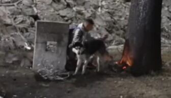 Husky salvó a su dueño de morir en la explosión de pipa en puente de La Concordia