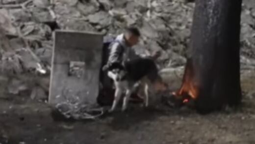 Husky salvó a su dueño de morir en la explosión de pipa en puente de La Concordia