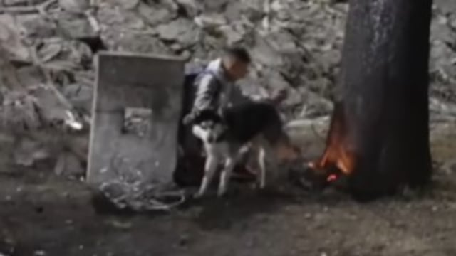Husky salvó a su dueño de morir en la explosión de pipa en puente de La Concordia