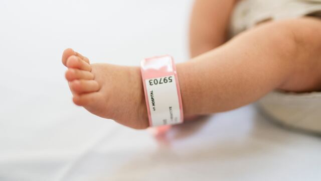 Recién nacido es desenterrado por perros en una casa en Guasave, Sinaloa; esto se sabe