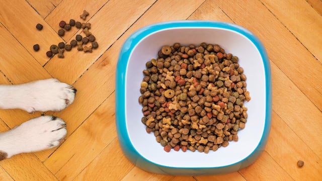 Croquetas para perro que venden en el Costco