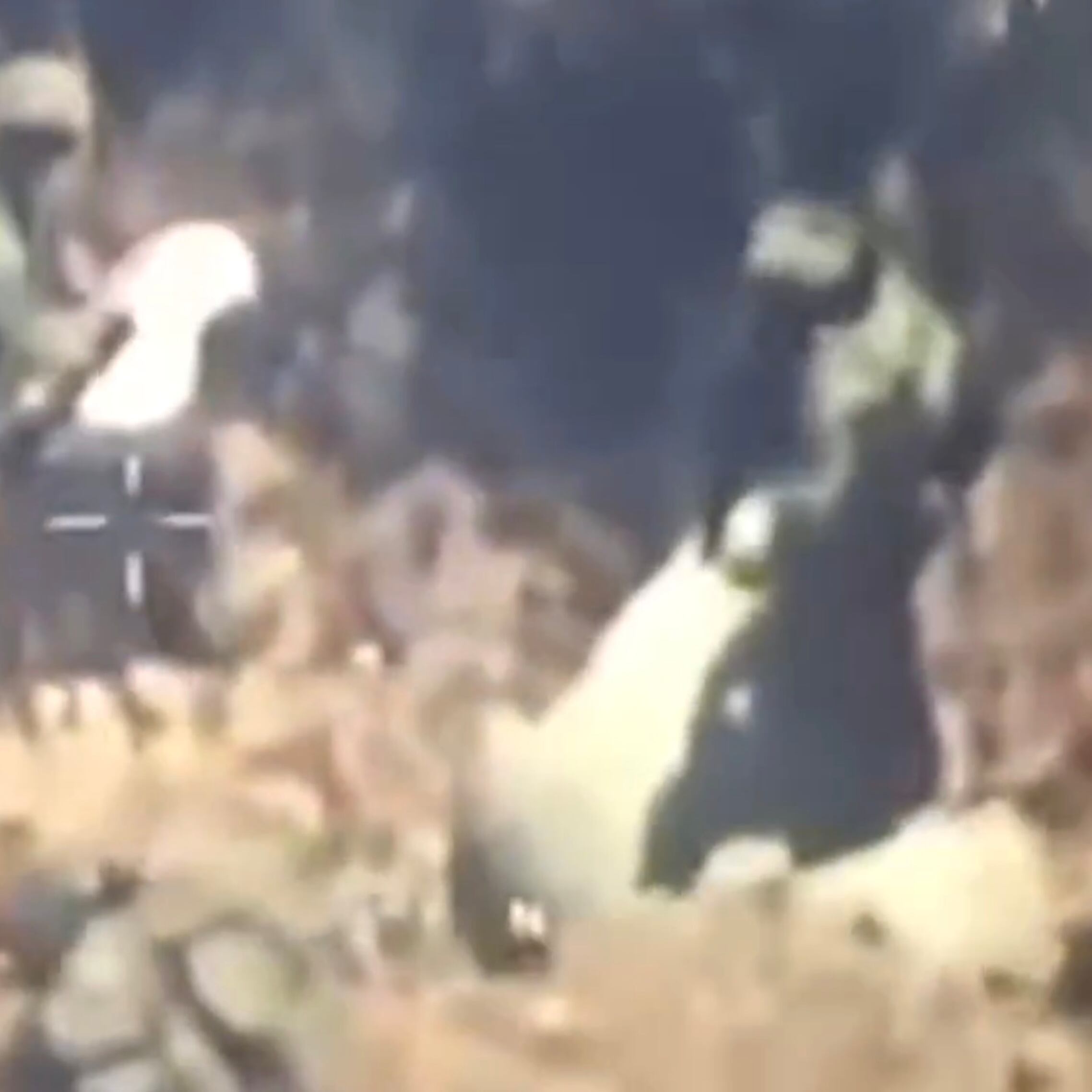 Videos de la captura de “El Jardinero” del CJNG tras fuerte operativo en Nayarit