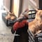 VIDEO: Cachan a dos perritos dándose unos “besuaves” y exhiben su apasionado momento en TikTok
