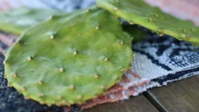 Beneficios de comer nopal