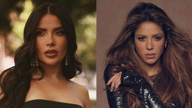 Dania Méndez, Shakira
