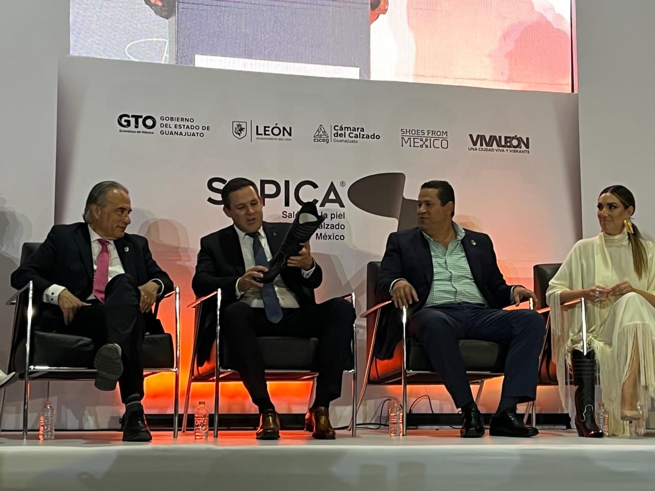 Sapica Guanajuato