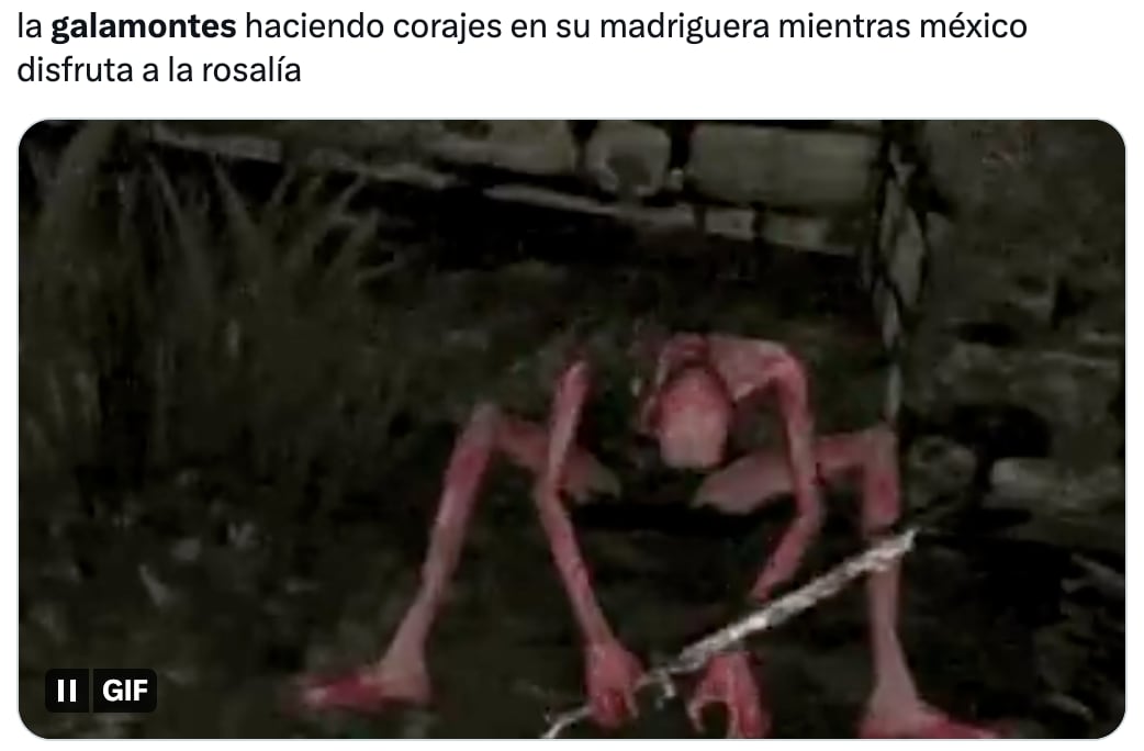 Gala Montes inspira memes por su "castigo" a Rosalía