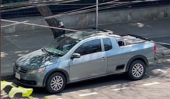 Perros encerrados en camioneta