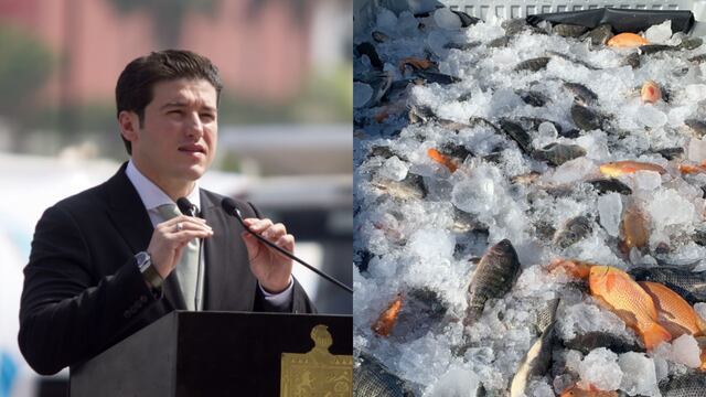 Samuel García / Tilapia de Monte Sagrado