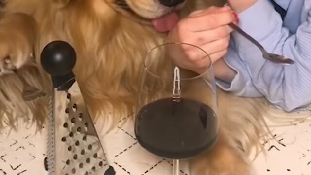 Golden Retriever y su dueña