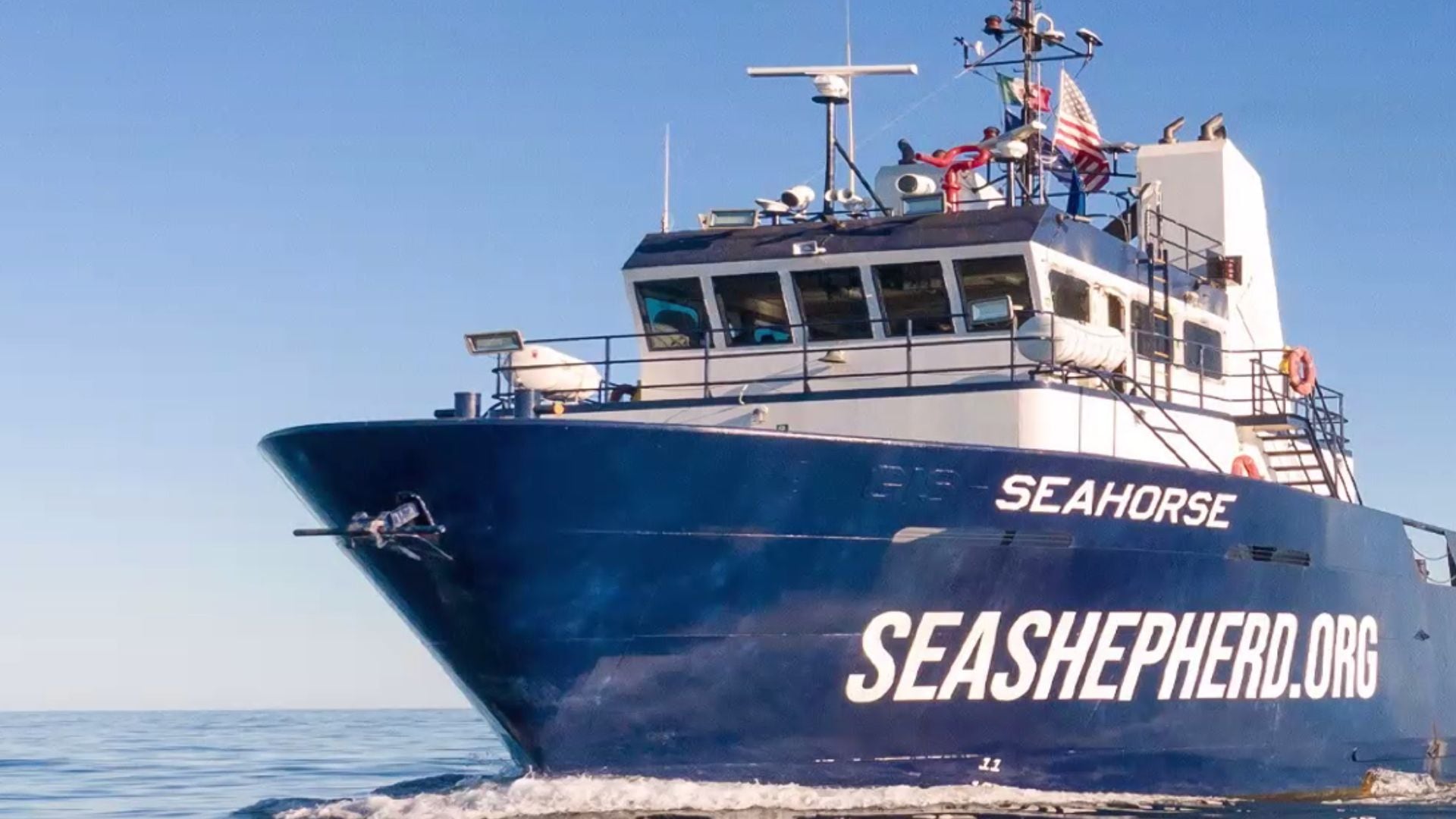 La vaquita marina se encuentra en peligro de extinción pero sociedad y gobierno preparan a una nueva generación de 11 observadores para su conservación en San Felipe, Baja California