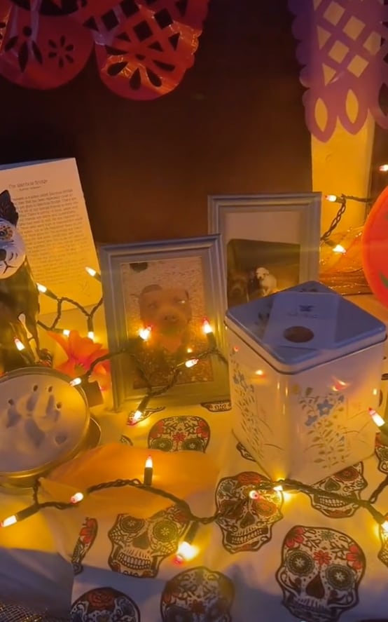 Ejemplo de altar de muertos para mascotas.