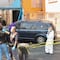 Gobierno de Claudia Sheinbaum logra reducción del 22% en promedio diario de homicidios en México