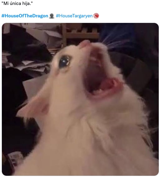 Reacciones y memes del capítulo 8 de House of the Dragon