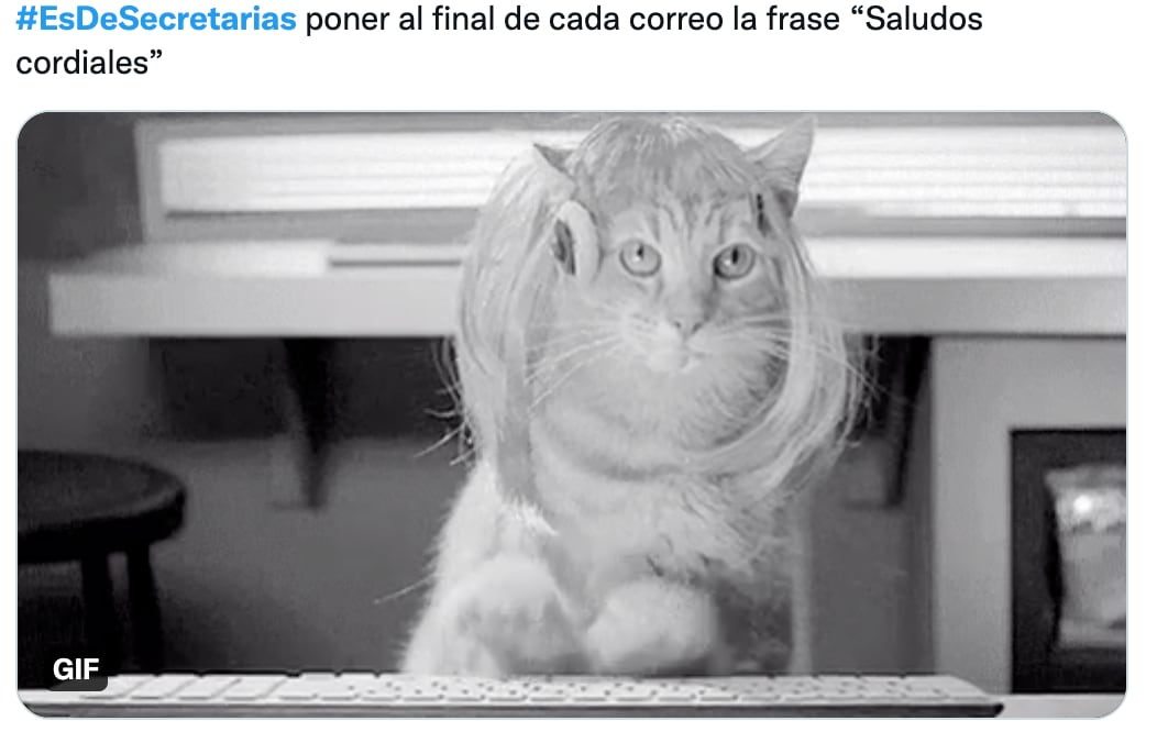 memes día de la secretaría 2022