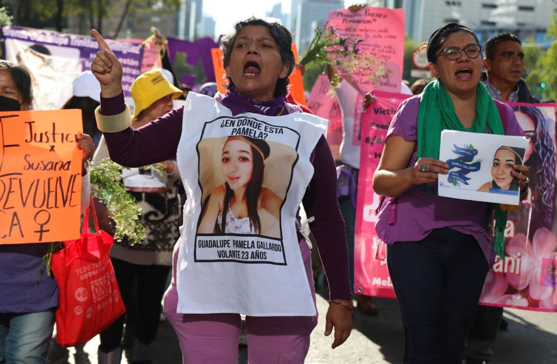 Mamá de Pamela Gallardo Volante en la marcha del 25 de noviembre