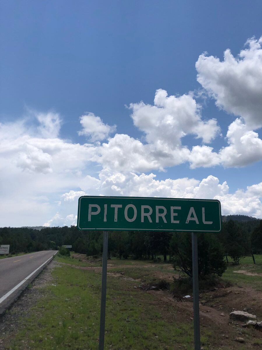 Pitorreal, Chihuahua/internet
