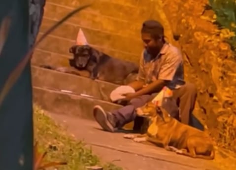 Hombre sin hogar festeja cumpleaños de sus perritos