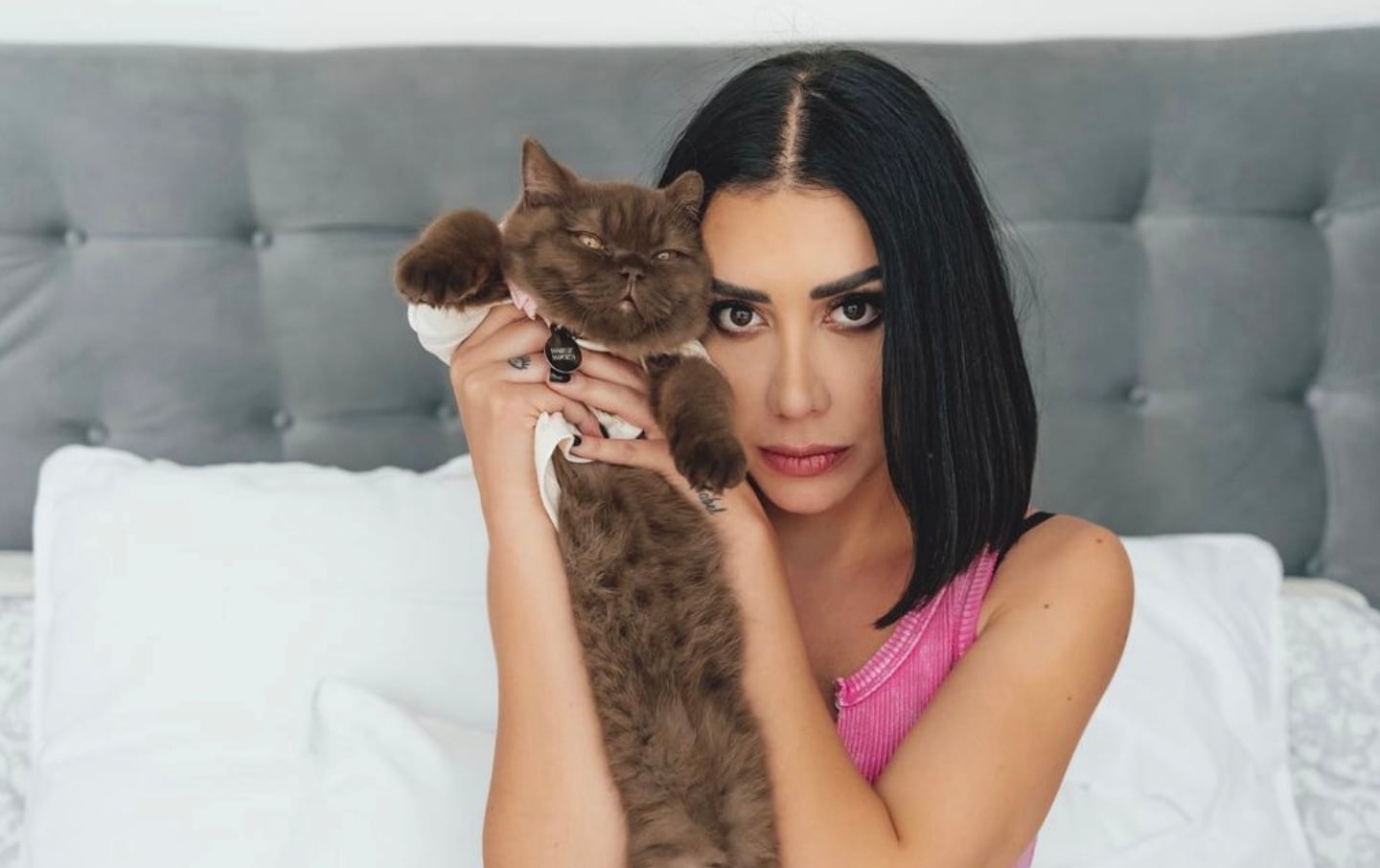 Norris, el gatito ruso e influencer de Karime Pindter